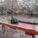 photo 2021-03-16 06-41-57