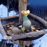 photo 2019-01-14 12-16-37