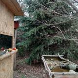 photo 2021-12-19 10-58-01