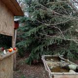 photo 2021-12-18 14-06-26