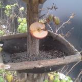 photo 2019-12-05 11-36-47