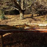 photo 2021-10-25 14-32-36