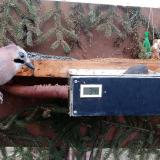 photo 2021-02-21 07-19-13