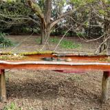 photo 2021-04-11 08-55-06