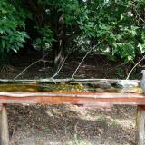 photo 2021-08-23 10-54-14