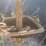 photo 2019-12-30 10-14-44