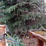 photo 2021-11-13 13-12-13