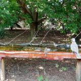 photo 2021-08-06 15-59-44