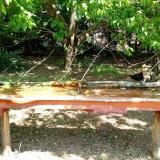 photo 2021-05-05 11-43-51