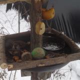 photo 2019-01-27 11-55-33