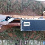 photo 2021-02-28 07-00-42