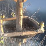 photo 2019-12-29 15-17-22