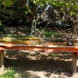 photo 2021-04-24 12-21-23