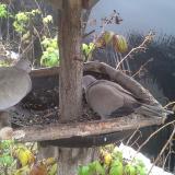 photo 2019-12-02 09-57-19