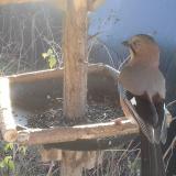 photo 2019-12-26 10-09-35