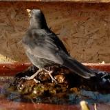 photo 2022-01-23 12-32-08 rigo