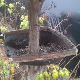 photo 2019-12-14 11-20-19