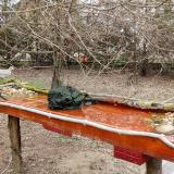 photo 2021-03-18 14-48-37