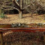 photo 2021-10-26 14-38-59