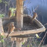 photo 2019-12-17 13-20-22