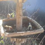 photo 2019-12-26 10-25-02