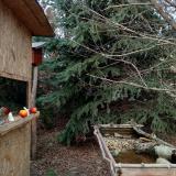 photo 2021-12-18 13-53-07