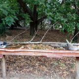 photo 2021-09-20 13-53-05