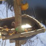 photo 2019-01-27 10-05-29