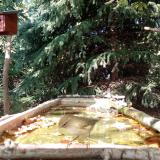 photo 2023-10-04 15-00-31