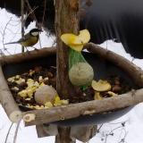 photo 2019-01-12 12-26-23