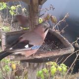 photo 2019-12-12 13-00-35