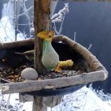 photo 2019-01-21 08-25-29