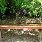 photo 2021-05-12 11-11-49