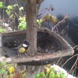 photo 2019-12-02 10-45-31