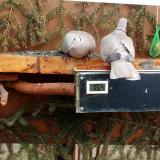 photo 2021-03-04 12-42-43