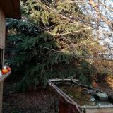 photo 2021-12-14 14-22-31