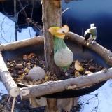 photo 2019-01-15 08-35-16