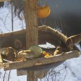 photo 2019-01-27 09-16-33