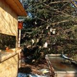 photo 2022-01-10 10-54-14