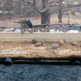 photo 2021-11-10 09-58-48