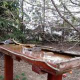 photo 2022-03-31 08-16-20