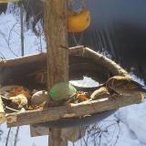 photo 2019-01-27 09-53-25