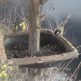 photo 2019-12-28 13-48-46