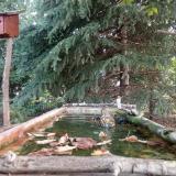 photo 2023-10-02 09-01-18