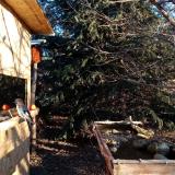 photo 2021-12-21 08-50-36