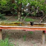 photo 2021-04-28 15-22-38