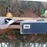 photo 2021-02-13 08-03-55