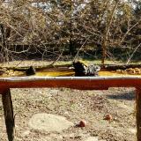 photo 2021-03-13 09-26-57