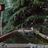 photo 2023-10-10 18-09-02