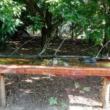 photo 2021-07-24 08-47-11